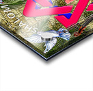 art shalom star of david AA Acrylic print