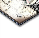 torah at kotel  Acrylic print