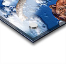 shofar   LION-1 Acrylic print