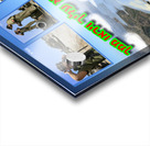 art tefilin army 2 Acrylic print