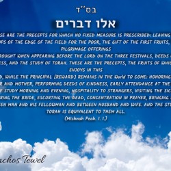 Eiloo Devarim sky PM