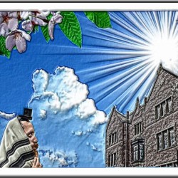 770 crown heights art