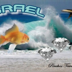 israel ocean diamonds 1