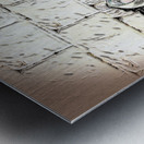 torah at kotel  Metal print