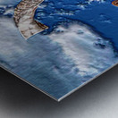 shofar   LION-1 Metal print