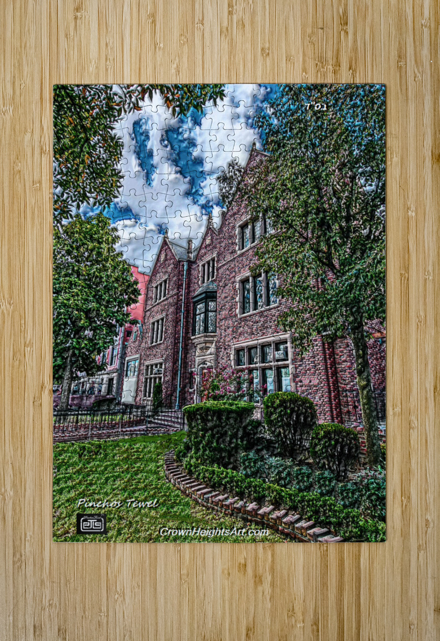 ART   770 4A pinchos tewel Puzzle printing
