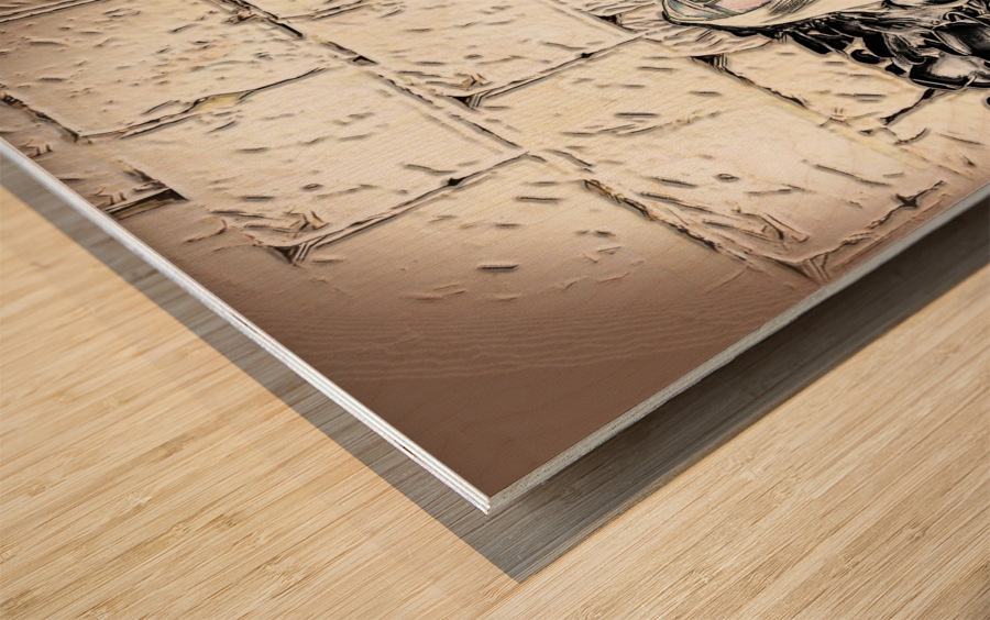 torah at kotel  Wood print