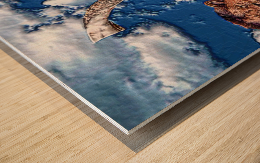 shofar   LION-1 Wood print