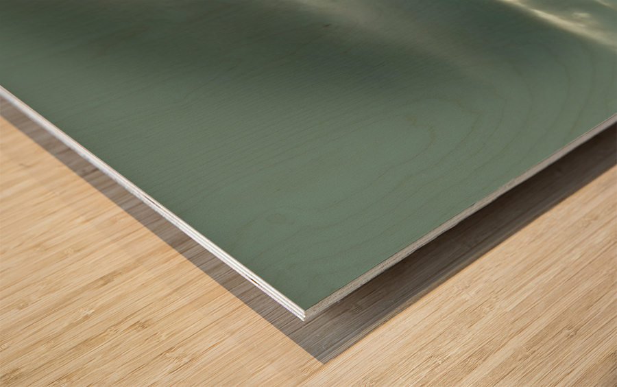 ART  sky   cloudy 3   Wood print