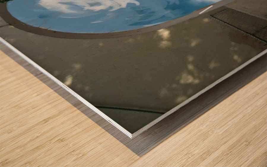 ArtDesign26.com   gate to sky Wood print